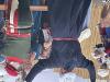 IMG 3384